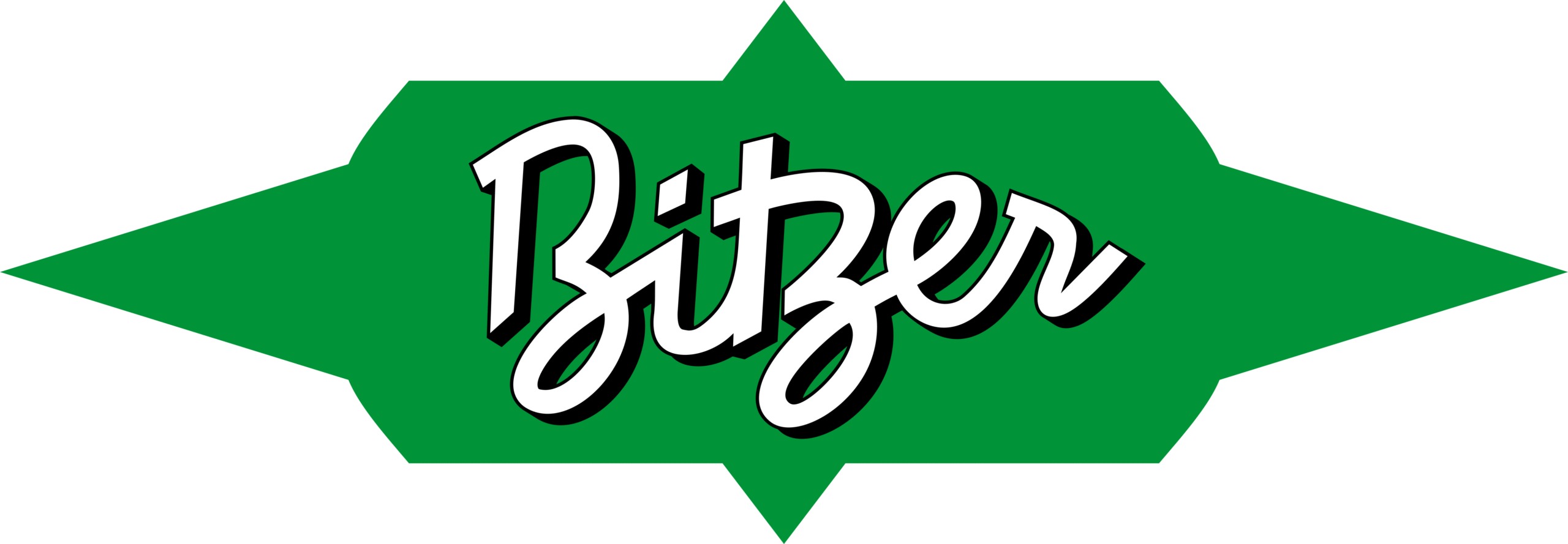 Bitzer_Logo (1)